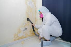 Mold Remediation for Vacation Homes in Monticello, MS